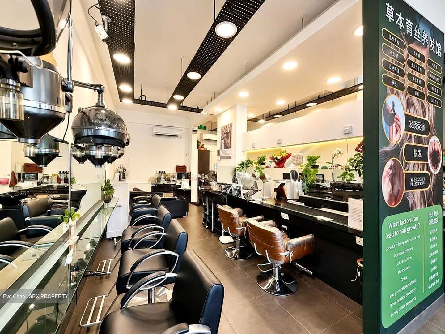 Serangoon Avenue 3 (D19), Shop House #627800061